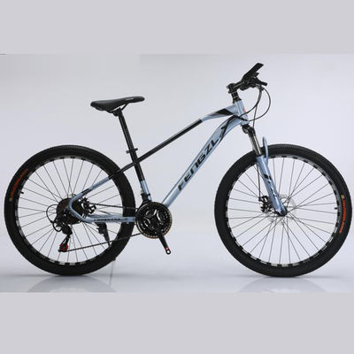 Customization 26 Inch Lightweight Mountain Bike With Double Disc Brake 21s Gear